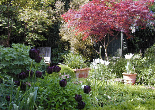 Temple Villa Garden